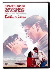 The Sandpiper (DVD)
